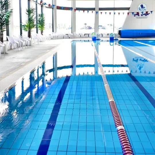 Trug pool